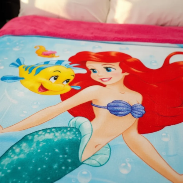 Cobertor Borrega Amigo Ariel Amigos