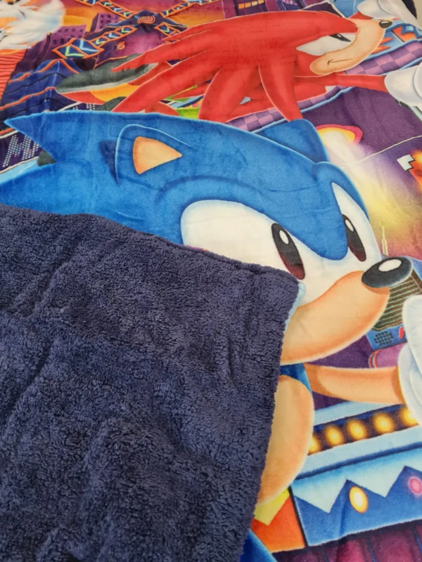 Cobertor Borrega Amigo Sonic